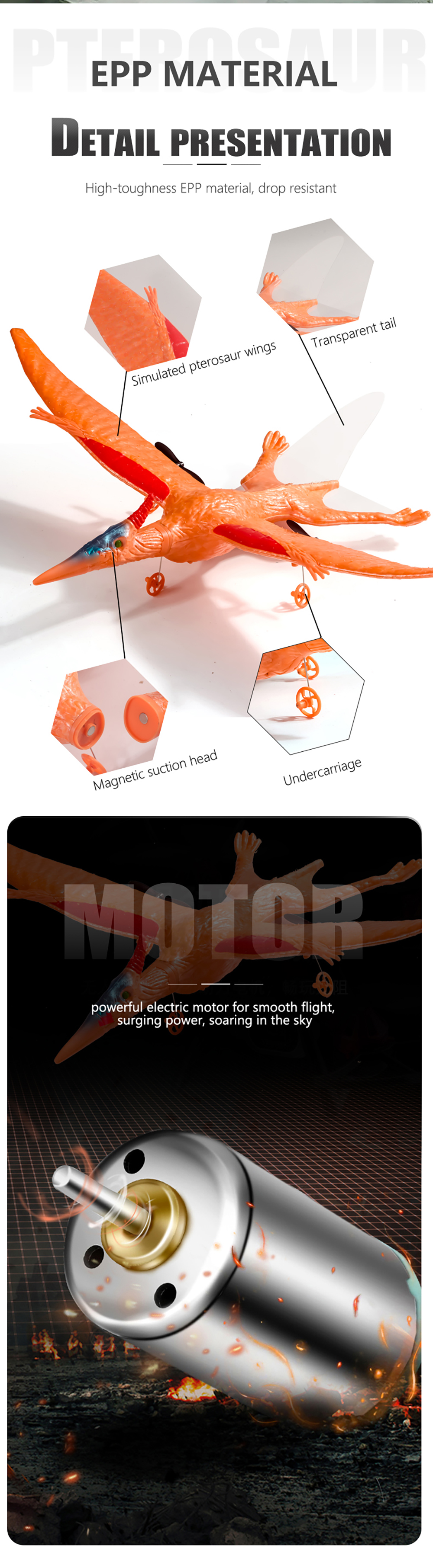 QF003-Pterosaur-Tapejara-Spannweite-von-390mm-24Ghz-2CH-Eingebauter-Gyro-EPP-RC-Flugzeug-Segelflugze-2011402-5